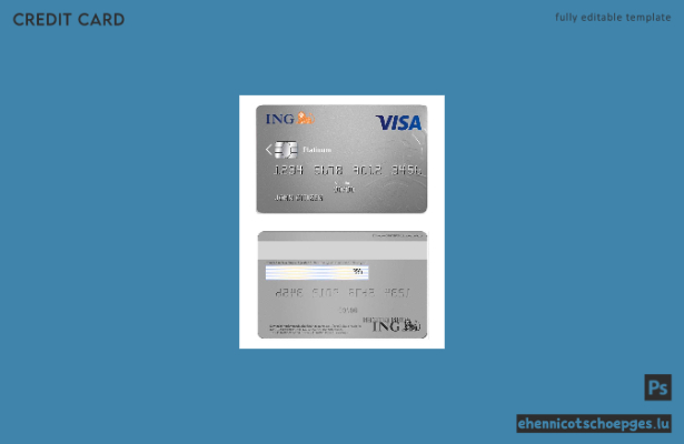 Beispielvorschau der ING Bank Visa-Karte Platinum (Niederlande)